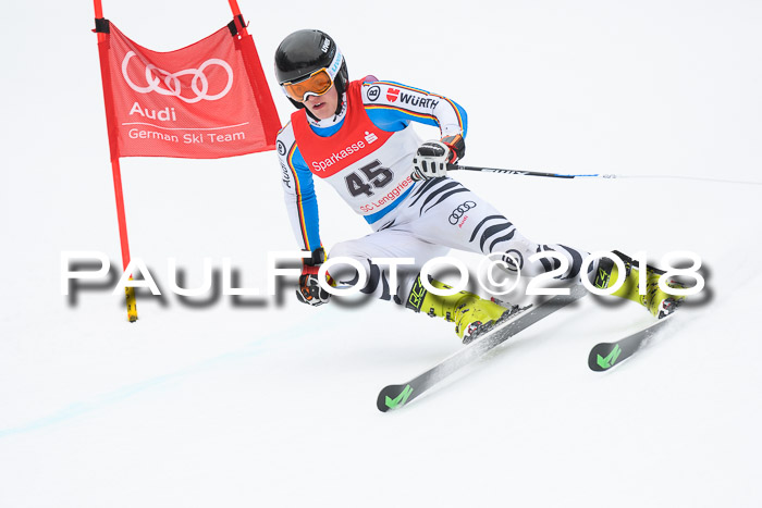 FIS NJR Riesenslalom Herren Lenggries 2.2.2018