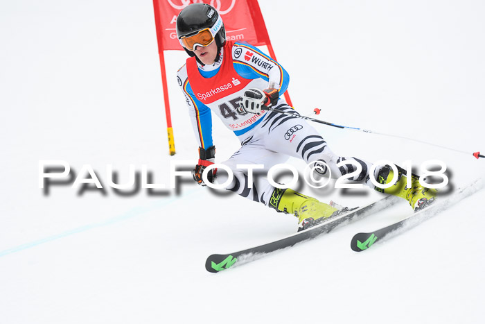 FIS NJR Riesenslalom Herren Lenggries 2.2.2018