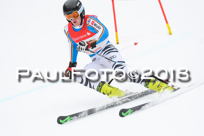 FIS NJR Riesenslalom Herren Lenggries 2.2.2018