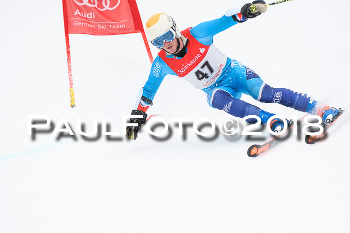 FIS NJR Riesenslalom Herren Lenggries 2.2.2018