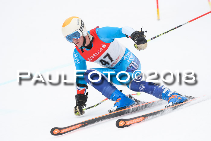 FIS NJR Riesenslalom Herren Lenggries 2.2.2018