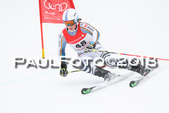 FIS NJR Riesenslalom Herren Lenggries 2.2.2018