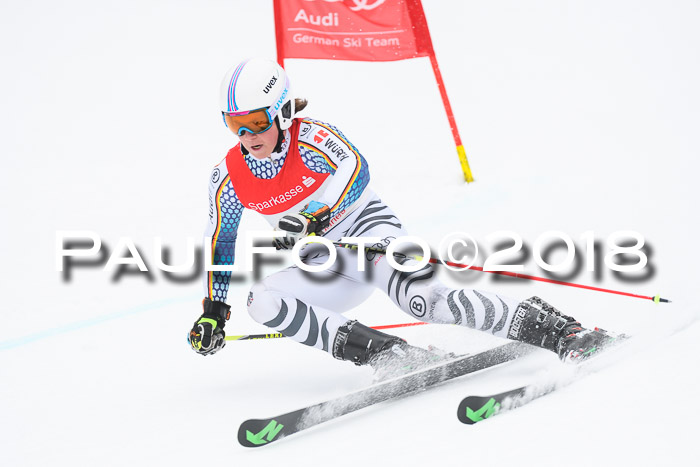 FIS NJR Riesenslalom Herren Lenggries 2.2.2018