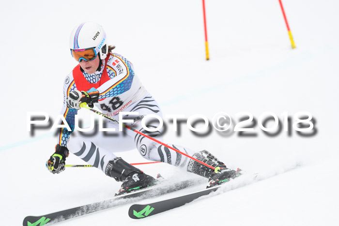 FIS NJR Riesenslalom Herren Lenggries 2.2.2018