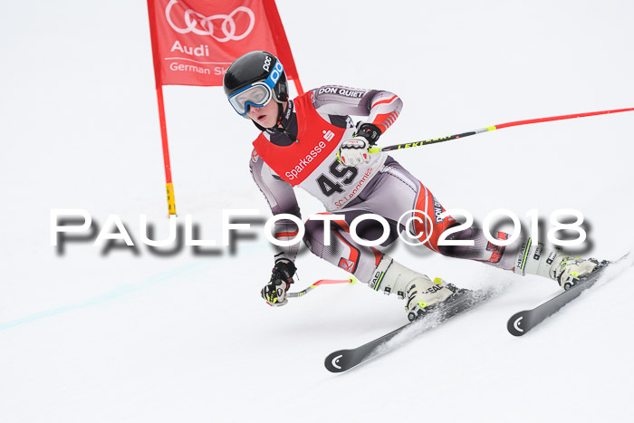 FIS NJR Riesenslalom Herren Lenggries 2.2.2018