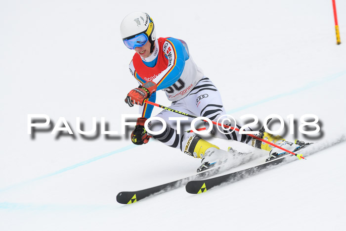 FIS NJR Riesenslalom Herren Lenggries 2.2.2018