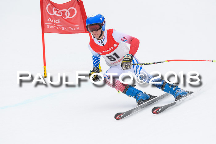 FIS NJR Riesenslalom Herren Lenggries 2.2.2018