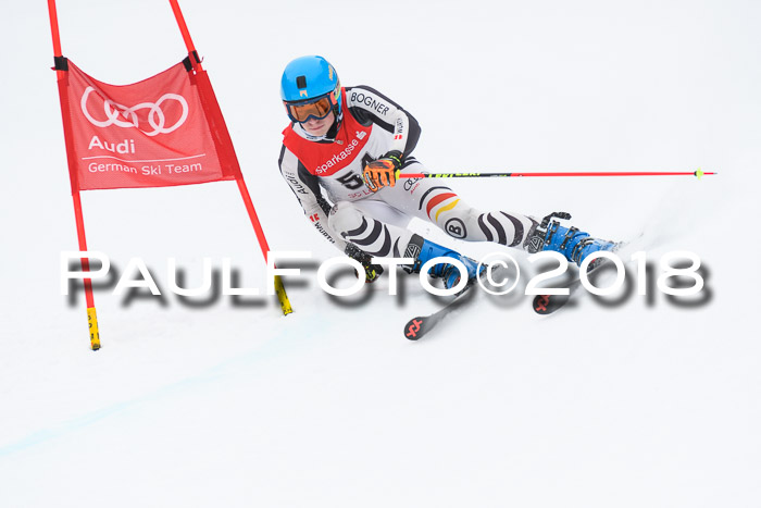 FIS NJR Riesenslalom Herren Lenggries 2.2.2018