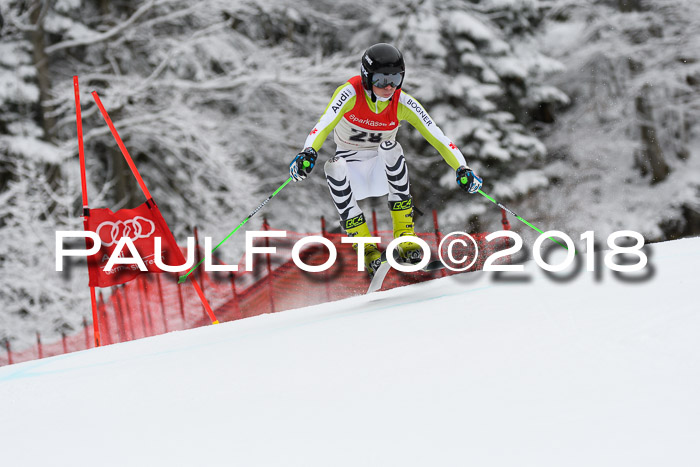FIS NJR Riesenslalom Herren Lenggries 2.2.2018