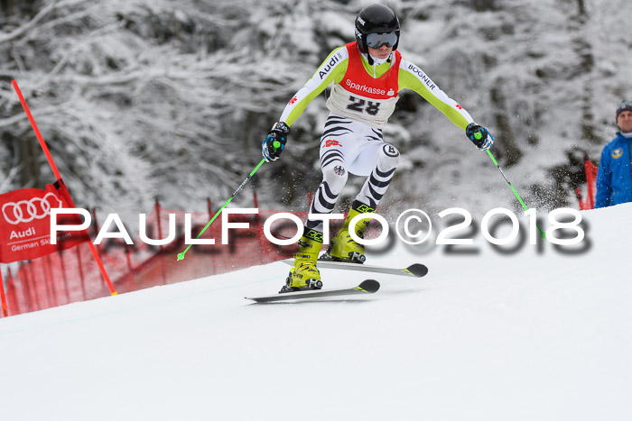 FIS NJR Riesenslalom Herren Lenggries 2.2.2018