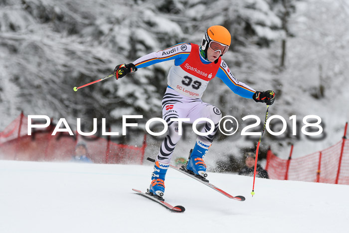 FIS NJR Riesenslalom Herren Lenggries 2.2.2018