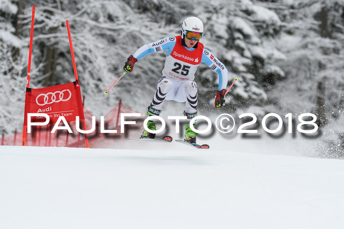 FIS NJR Riesenslalom Herren Lenggries 2.2.2018