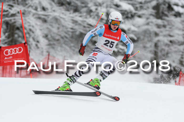 FIS NJR Riesenslalom Herren Lenggries 2.2.2018