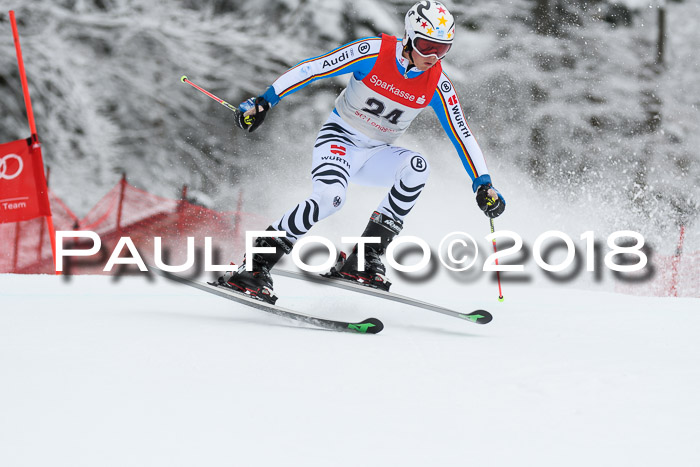 FIS NJR Riesenslalom Herren Lenggries 2.2.2018