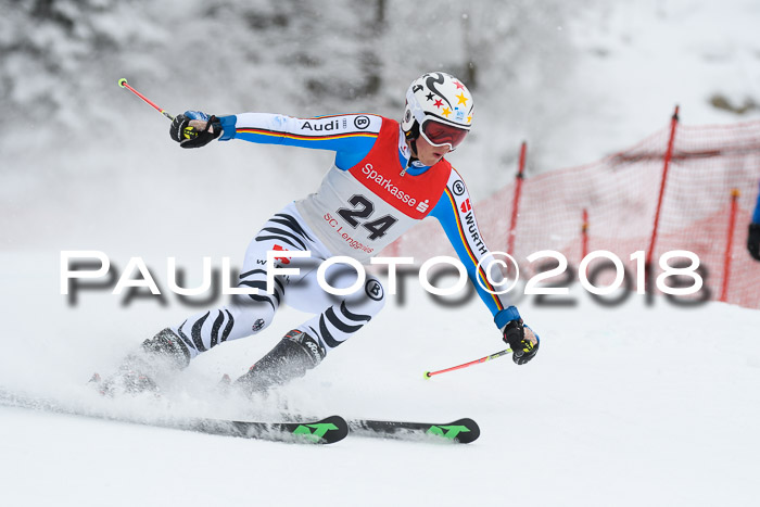 FIS NJR Riesenslalom Herren Lenggries 2.2.2018