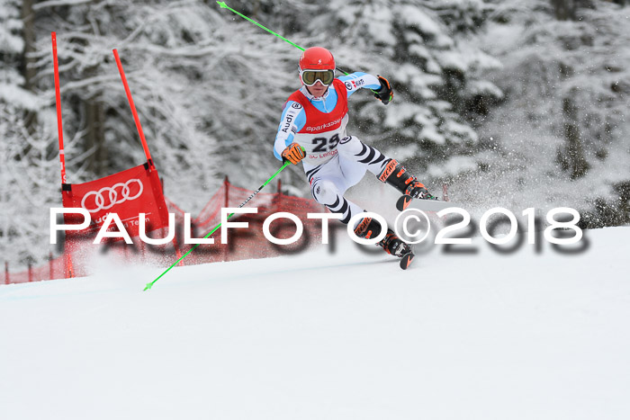 FIS NJR Riesenslalom Herren Lenggries 2.2.2018