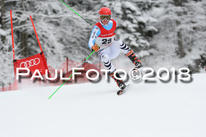 FIS NJR Riesenslalom Herren Lenggries 2.2.2018