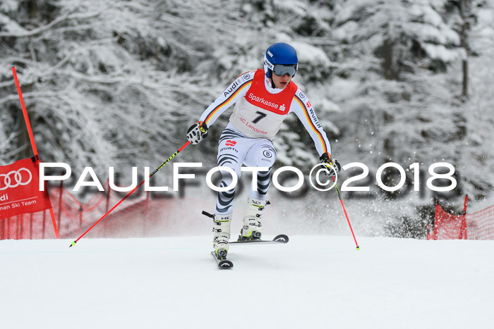 FIS NJR Riesenslalom Herren Lenggries 2.2.2018