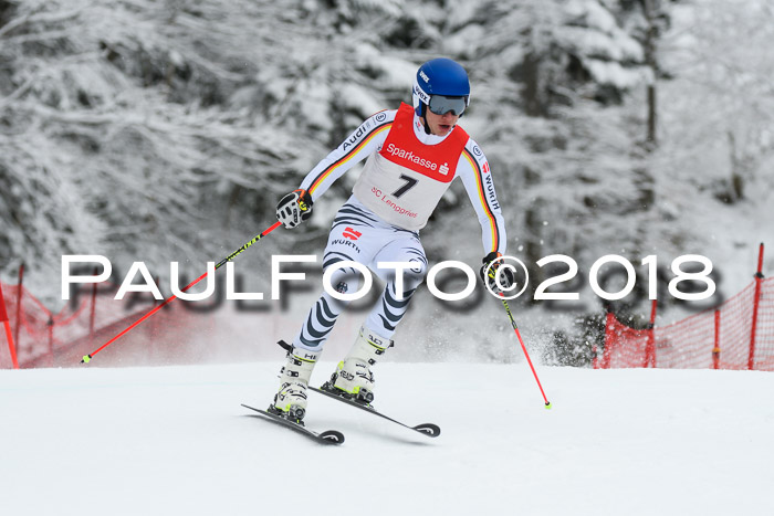 FIS NJR Riesenslalom Herren Lenggries 2.2.2018