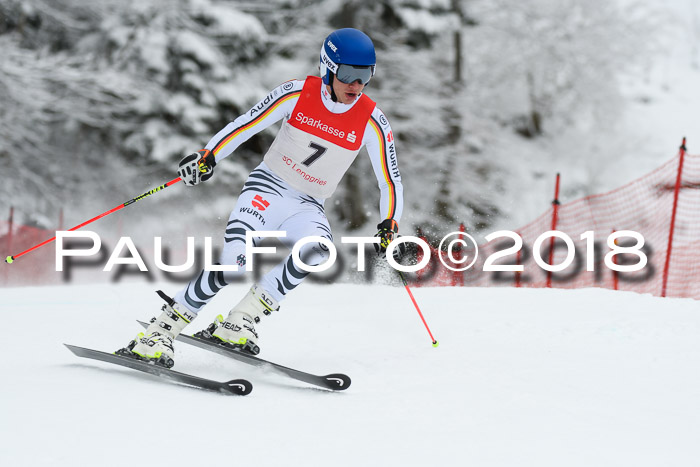 FIS NJR Riesenslalom Herren Lenggries 2.2.2018