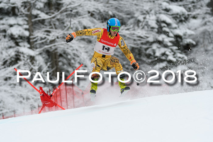 FIS NJR Riesenslalom Herren Lenggries 2.2.2018