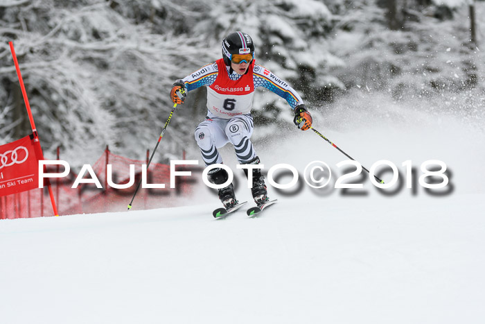 FIS NJR Riesenslalom Herren Lenggries 2.2.2018