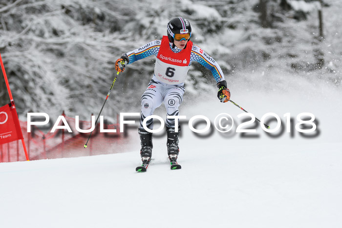 FIS NJR Riesenslalom Herren Lenggries 2.2.2018