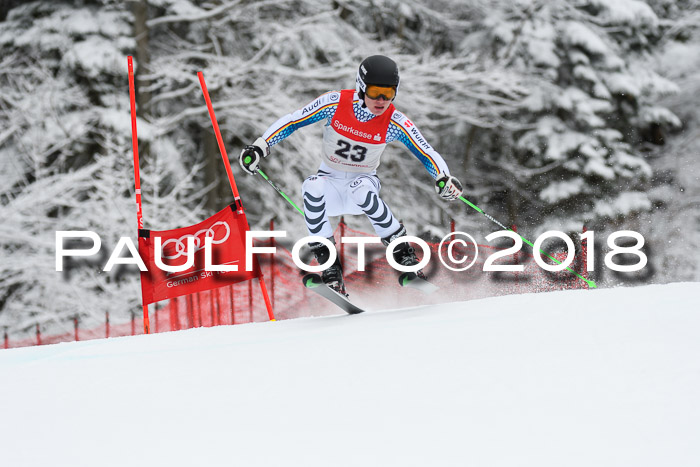 FIS NJR Riesenslalom Herren Lenggries 2.2.2018