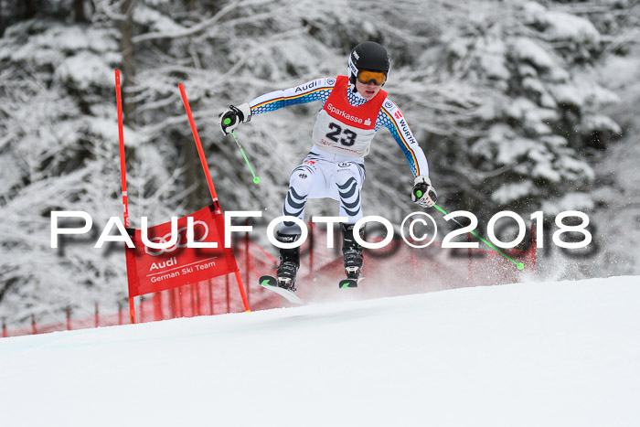 FIS NJR Riesenslalom Herren Lenggries 2.2.2018
