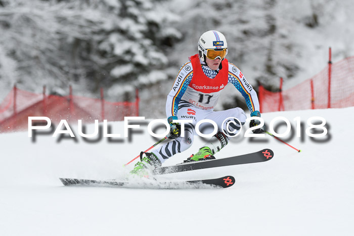 FIS NJR Riesenslalom Herren Lenggries 2.2.2018