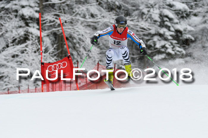 FIS NJR Riesenslalom Herren Lenggries 2.2.2018