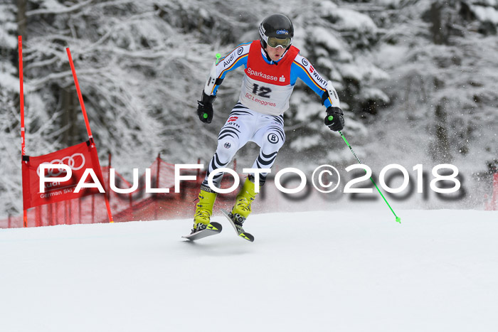 FIS NJR Riesenslalom Herren Lenggries 2.2.2018