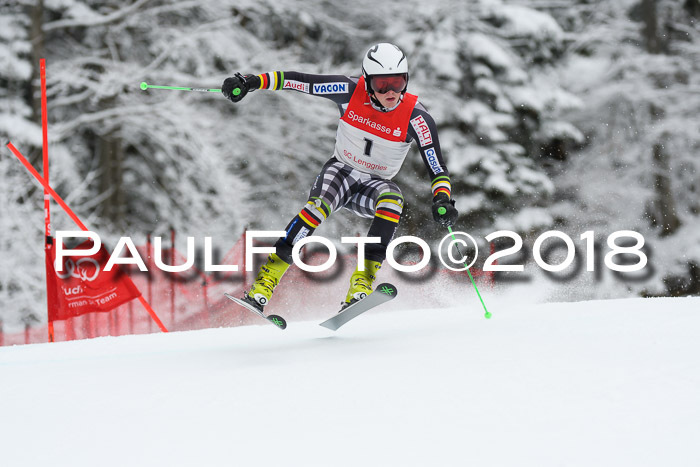 FIS NJR Riesenslalom Herren Lenggries 2.2.2018