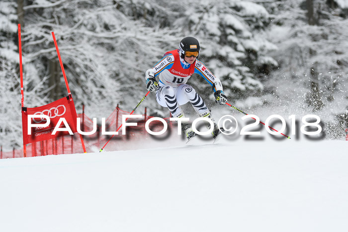 FIS NJR Riesenslalom Herren Lenggries 2.2.2018
