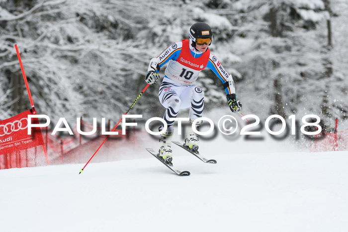 FIS NJR Riesenslalom Herren Lenggries 2.2.2018