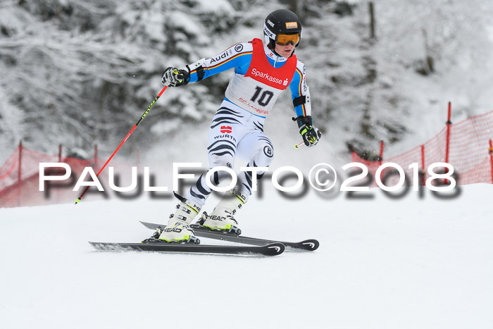 FIS NJR Riesenslalom Herren Lenggries 2.2.2018