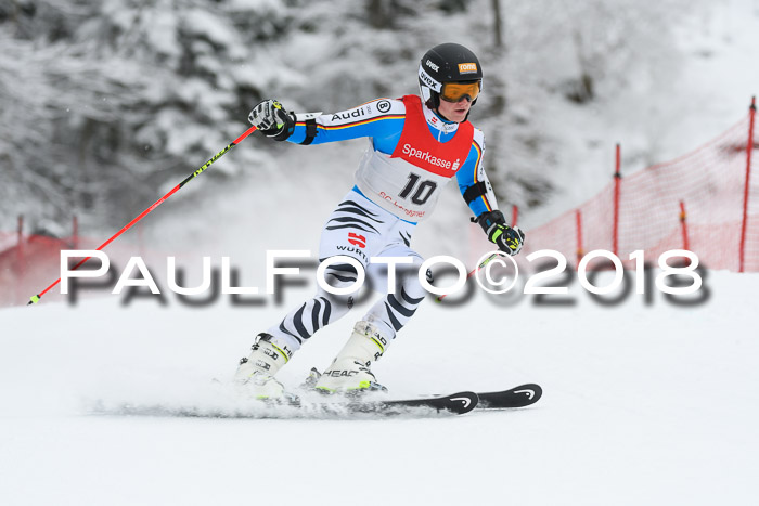 FIS NJR Riesenslalom Herren Lenggries 2.2.2018