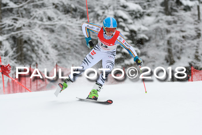 FIS NJR Riesenslalom Herren Lenggries 2.2.2018