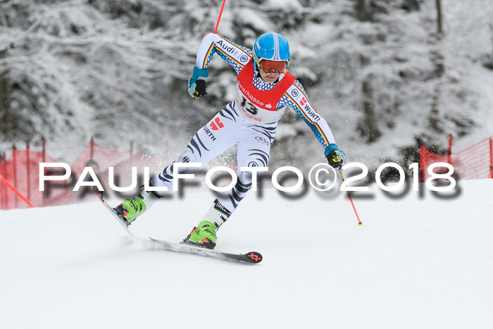 FIS NJR Riesenslalom Herren Lenggries 2.2.2018