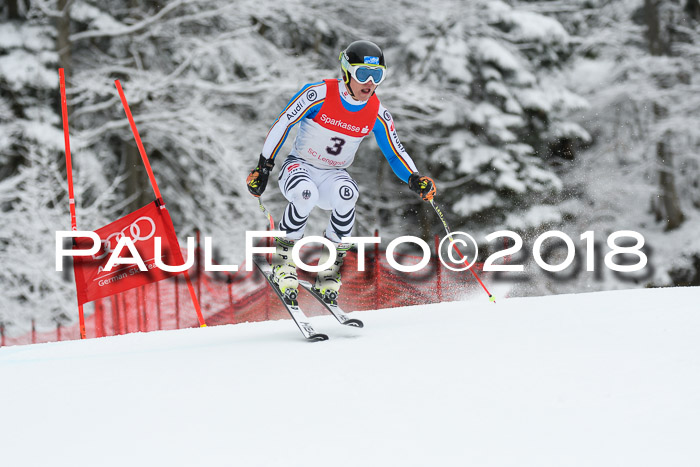 FIS NJR Riesenslalom Herren Lenggries 2.2.2018