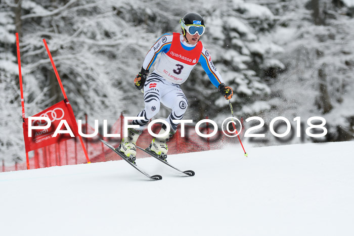 FIS NJR Riesenslalom Herren Lenggries 2.2.2018