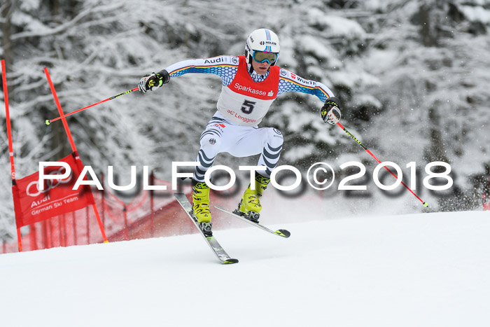 FIS NJR Riesenslalom Herren Lenggries 2.2.2018