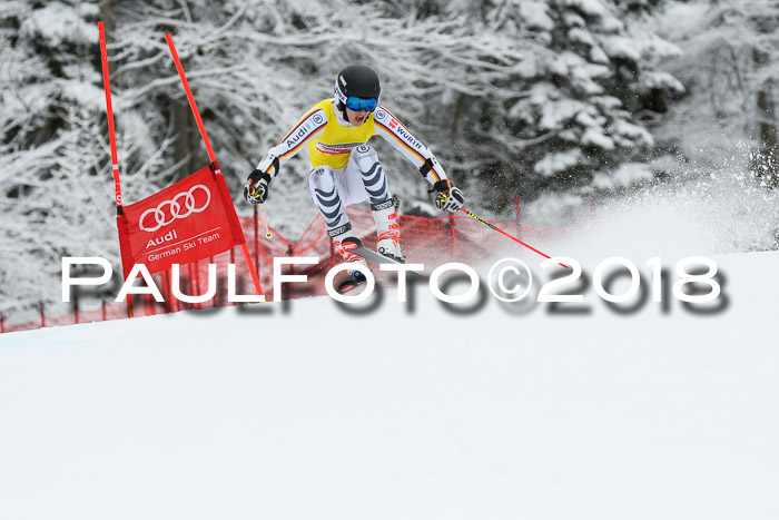 FIS NJR Riesenslalom Herren Lenggries 2.2.2018