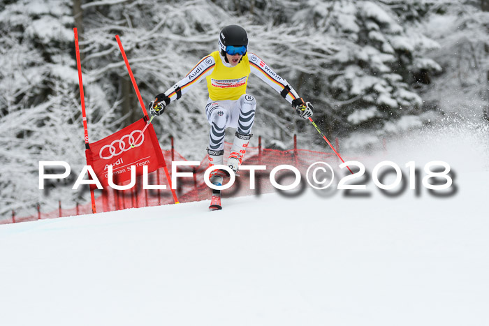 FIS NJR Riesenslalom Herren Lenggries 2.2.2018