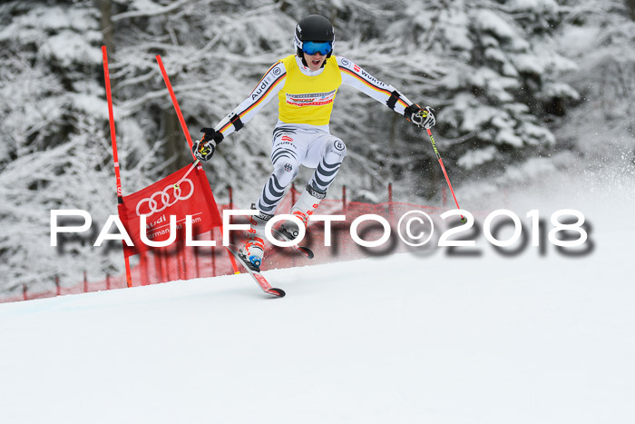 FIS NJR Riesenslalom Herren Lenggries 2.2.2018
