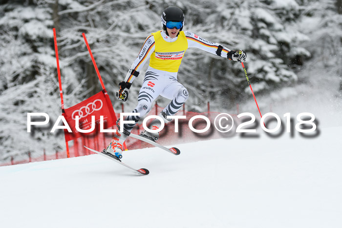 FIS NJR Riesenslalom Herren Lenggries 2.2.2018