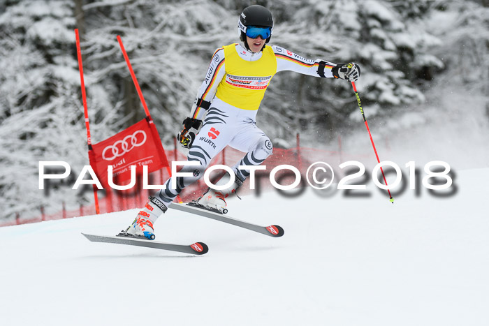 FIS NJR Riesenslalom Herren Lenggries 2.2.2018
