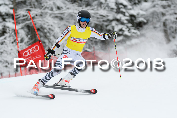 FIS NJR Riesenslalom Herren Lenggries 2.2.2018