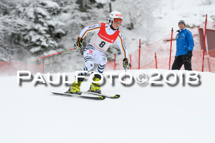FIS NJR Riesenslalom Herren Lenggries 2.2.2018