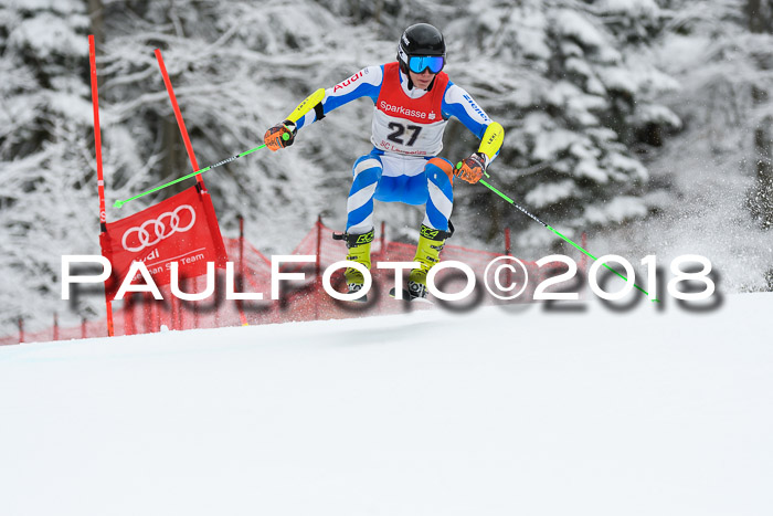 FIS NJR Riesenslalom Herren Lenggries 2.2.2018